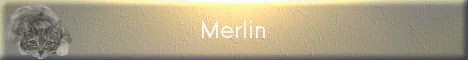 Merlin