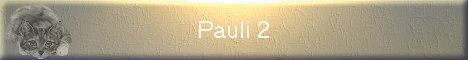 Pauli 2