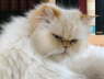 Sissi 03/2005