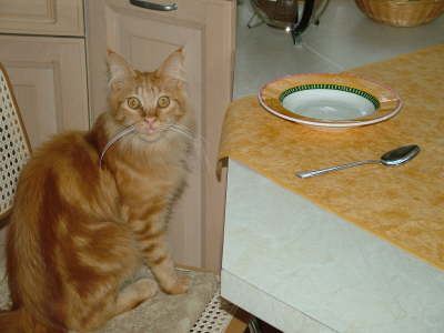 Merlin 08/2005