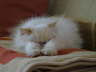 Sissi 02/2006