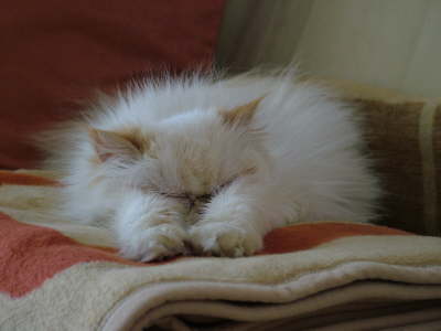 Sissi 02/2006
