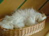 Sissi 05/2006