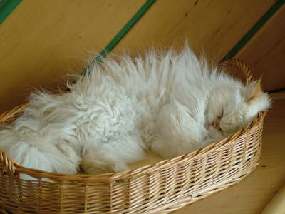 Sissi 05/2006