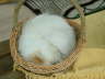 Sissi 05/2006