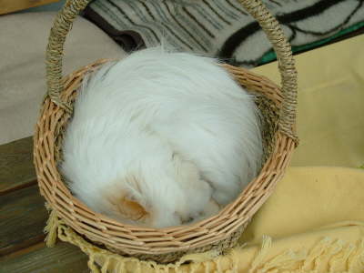 Sissi 05/2006