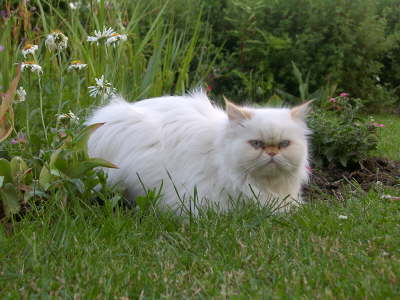 Sissi 06/2003