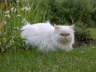 Sissi 06/2003