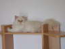 Sissi 10/2003