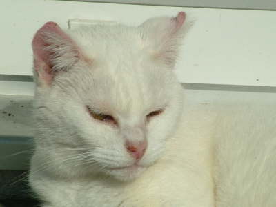 Minni 09/2005