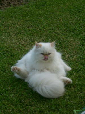 Sissi 06/2003