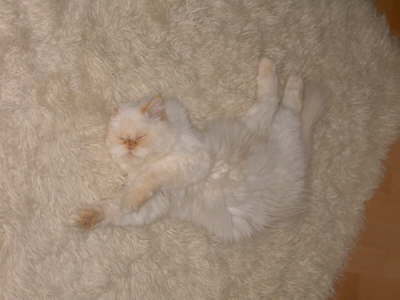 Sissi 09/2004