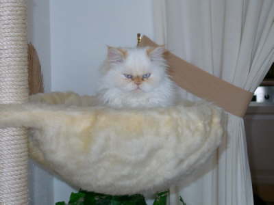 Sissi 04/2003