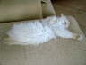Sissi 02/2006