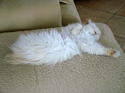 Sissi 02/2006