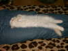 Sissi 11/2002