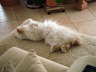 Sissi 02/2006