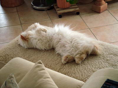 Sissi 02/2006
