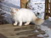 Sissi 01/2003
