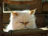 Sissi 02/2006