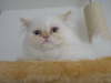 Sissi 11/2002
