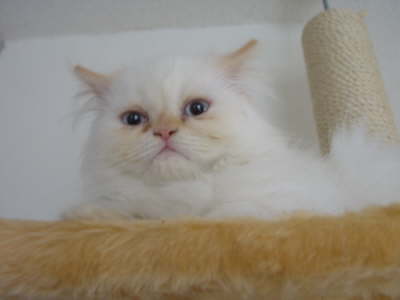 Sissi 11/2002