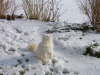 Sissi 02/2003