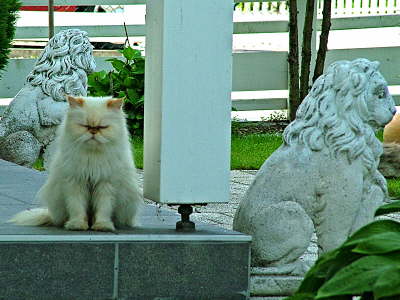 Sissi 08/07