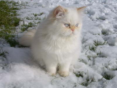 Sissi 02/2003
