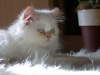 Sissi 11/2002