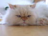Sissi 01/2004