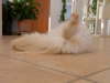 Sissi 12/2004