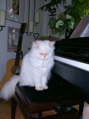 Sissi 07/2003