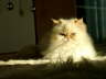 Sissi 04/2005