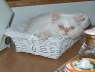 Sissi 11/2002